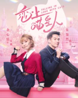 名流设计